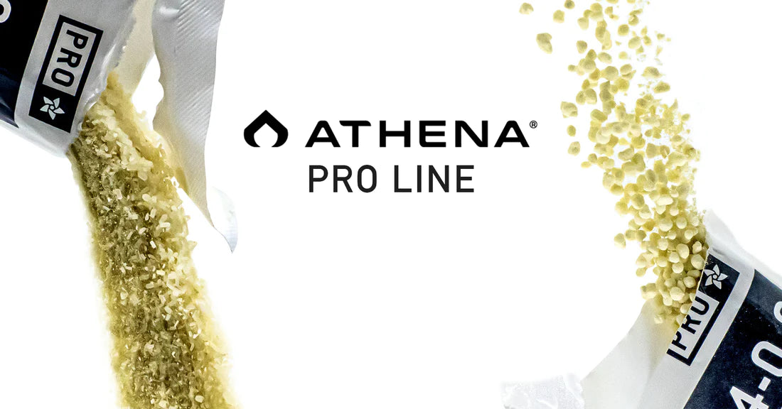 Procedimientos y programas de alimentación de Athena IPM, Pro Line y Blended Line