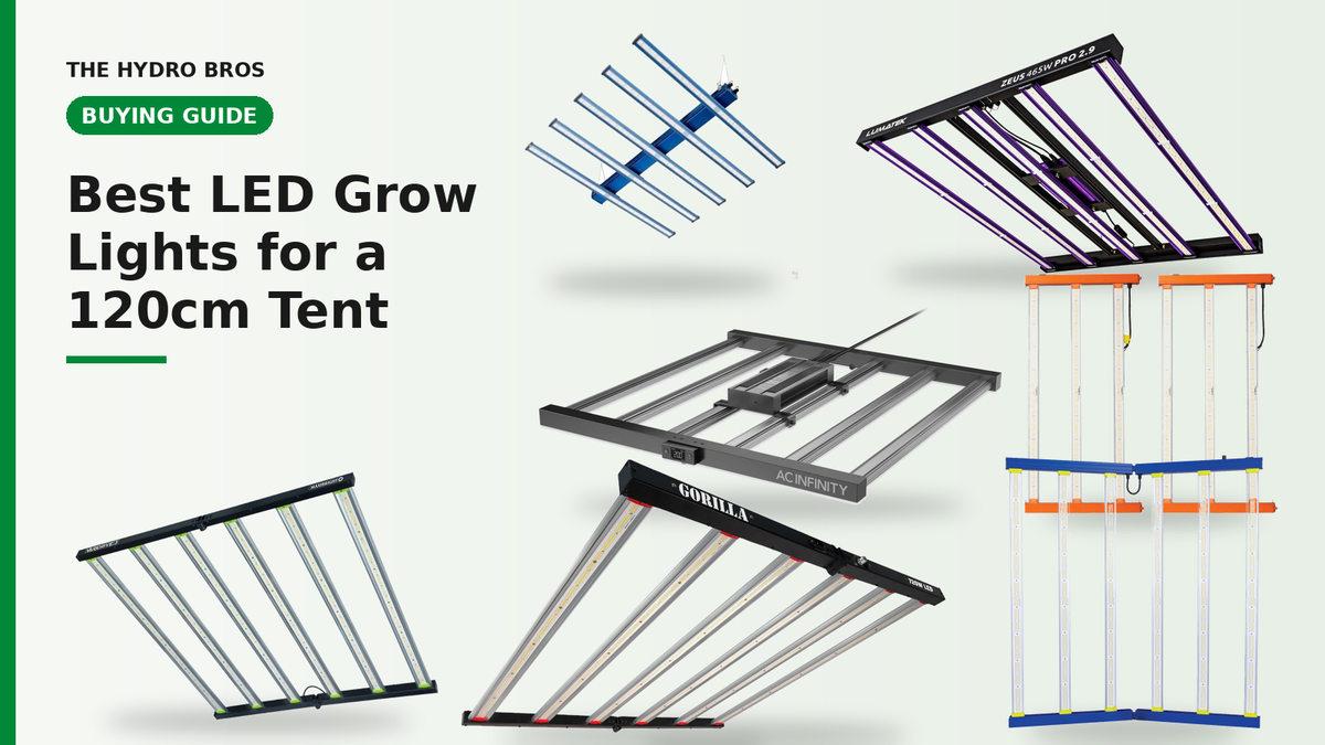Best LED Grow Lights for a 120cm Tent: 2026 UK Buying Guide