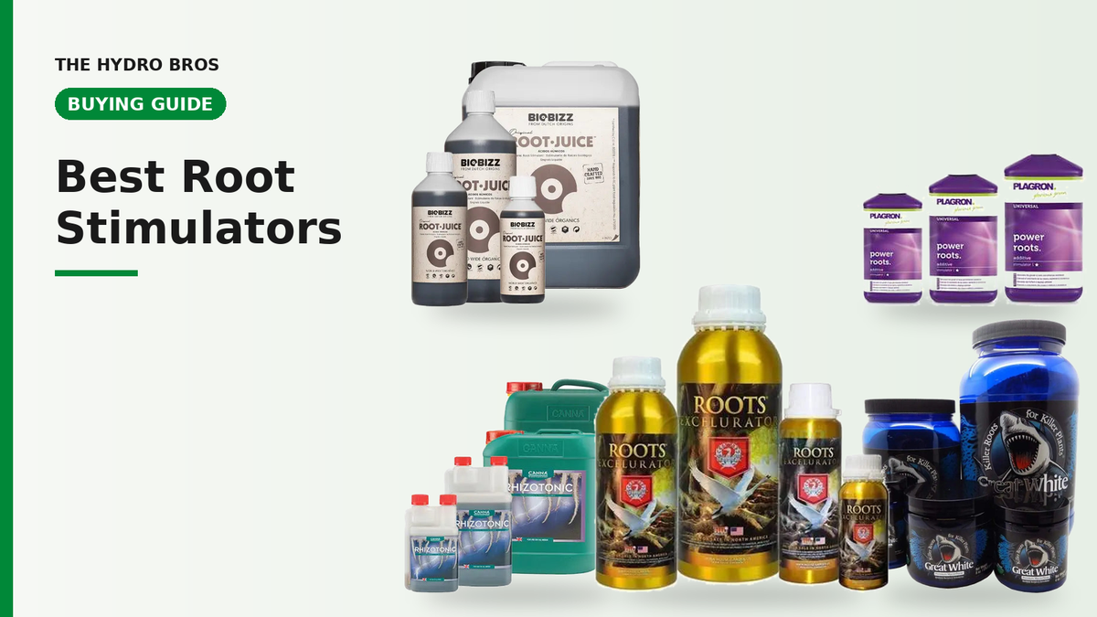 Best Root Stimulators for Growers: 2026 UK Buying Guide