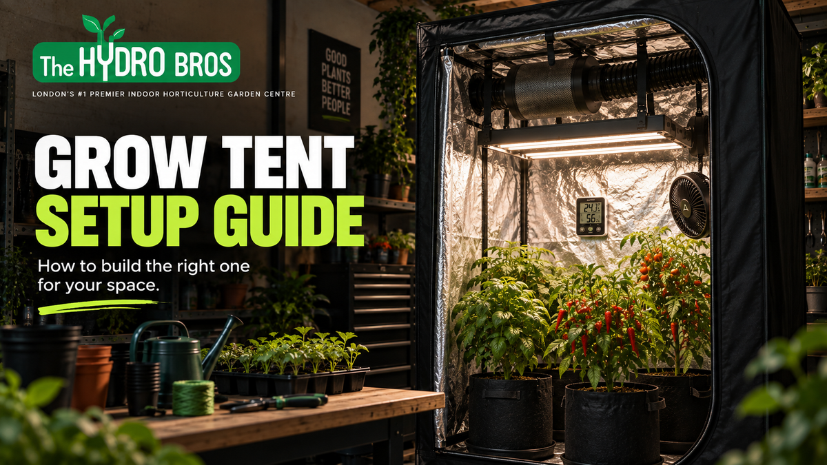 Grow Tent Setup Guide UK: Build the Right Setup