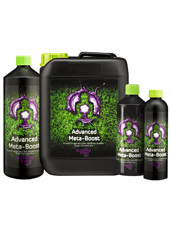 Buddhas Tree Nutrients