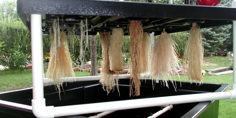 Aeroponic Systems