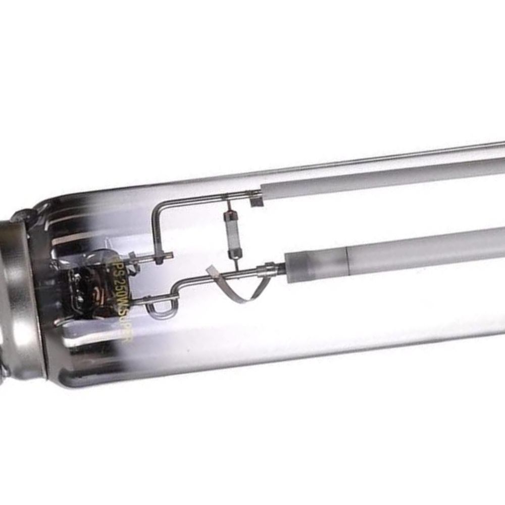 Lámparas de luz de crecimiento