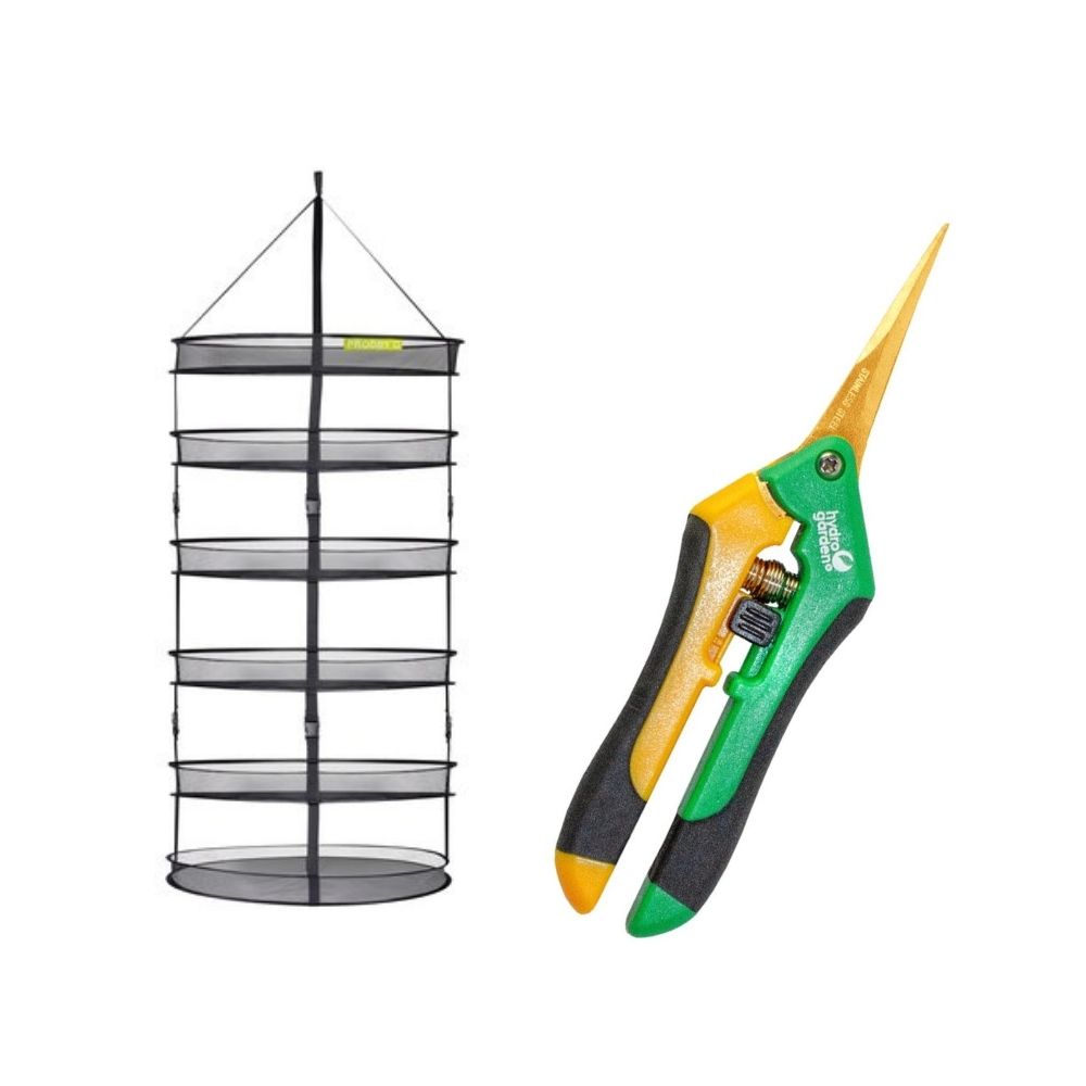 Recorte, secado, curado/almacenamiento