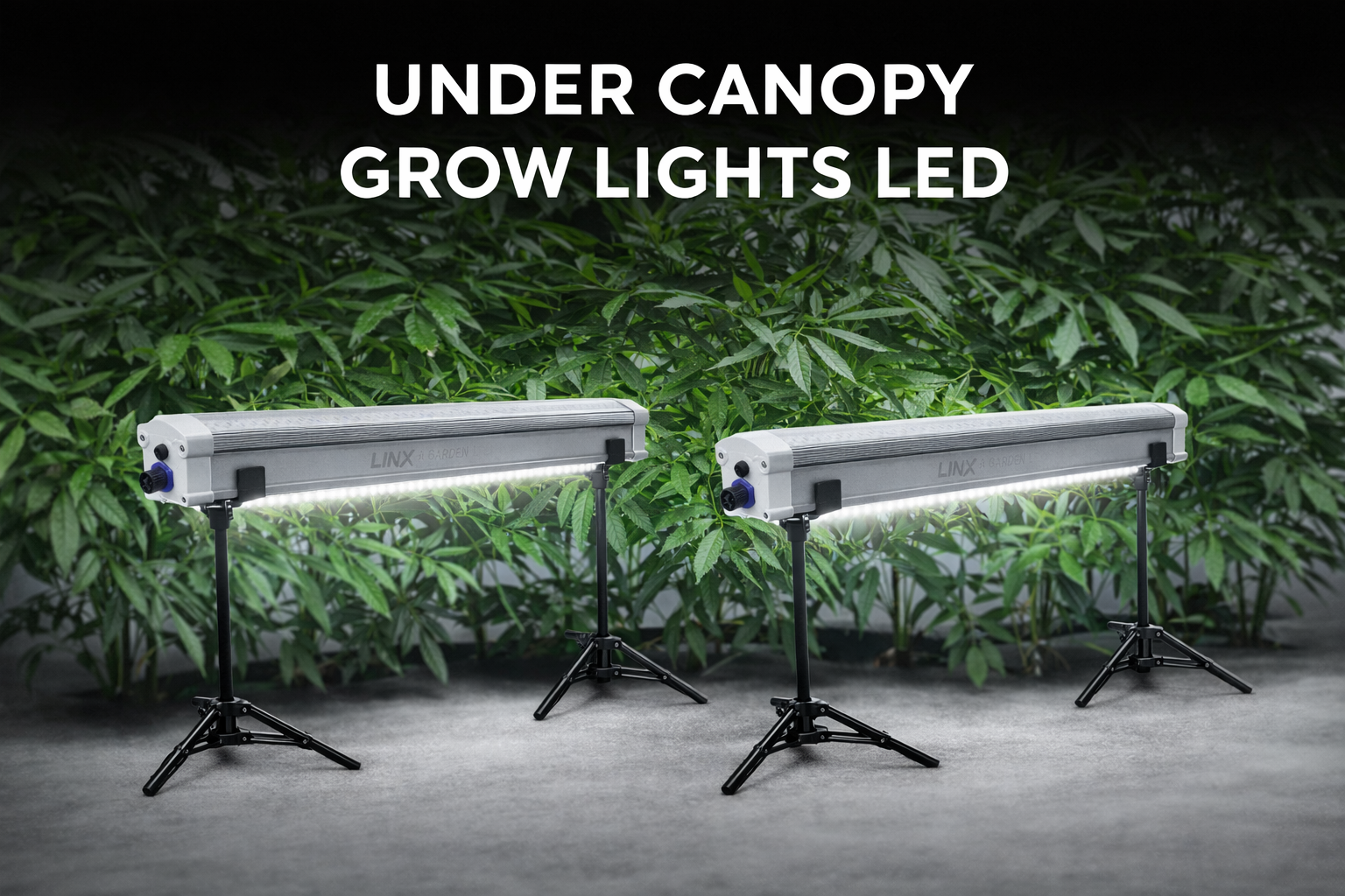 Under-Canopy Grow Lights
