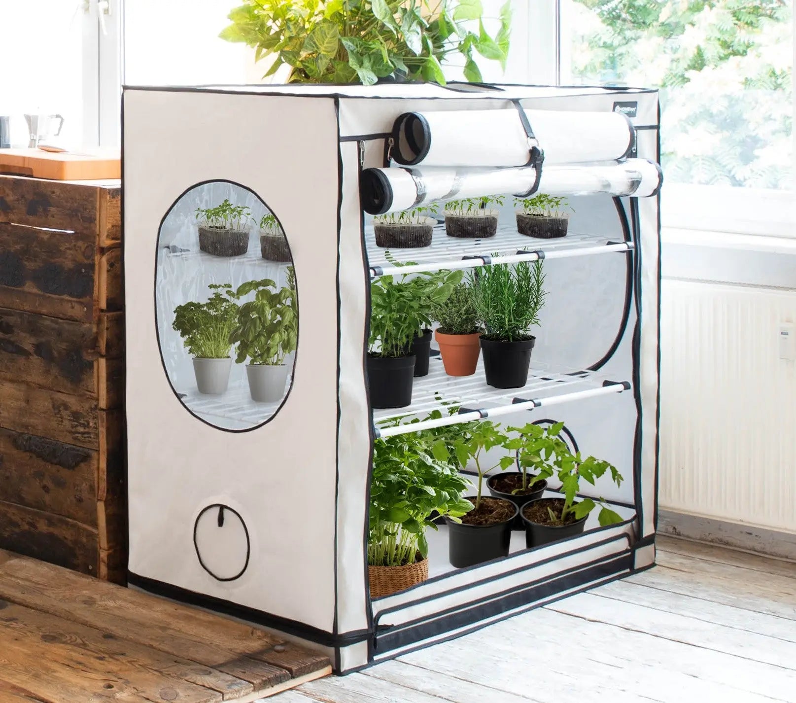 HomeBOX Grow Tents