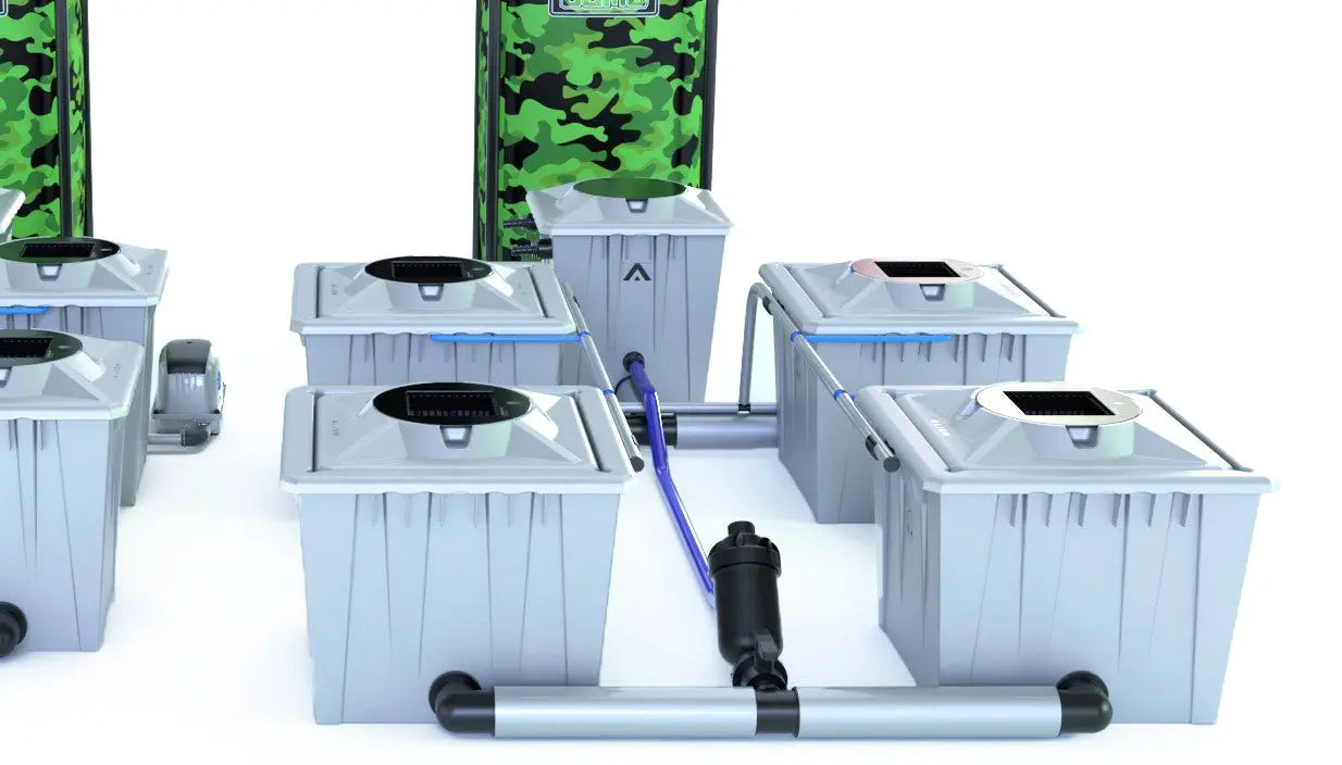 DWC Hydroponic Systems (Deep Water Culture)