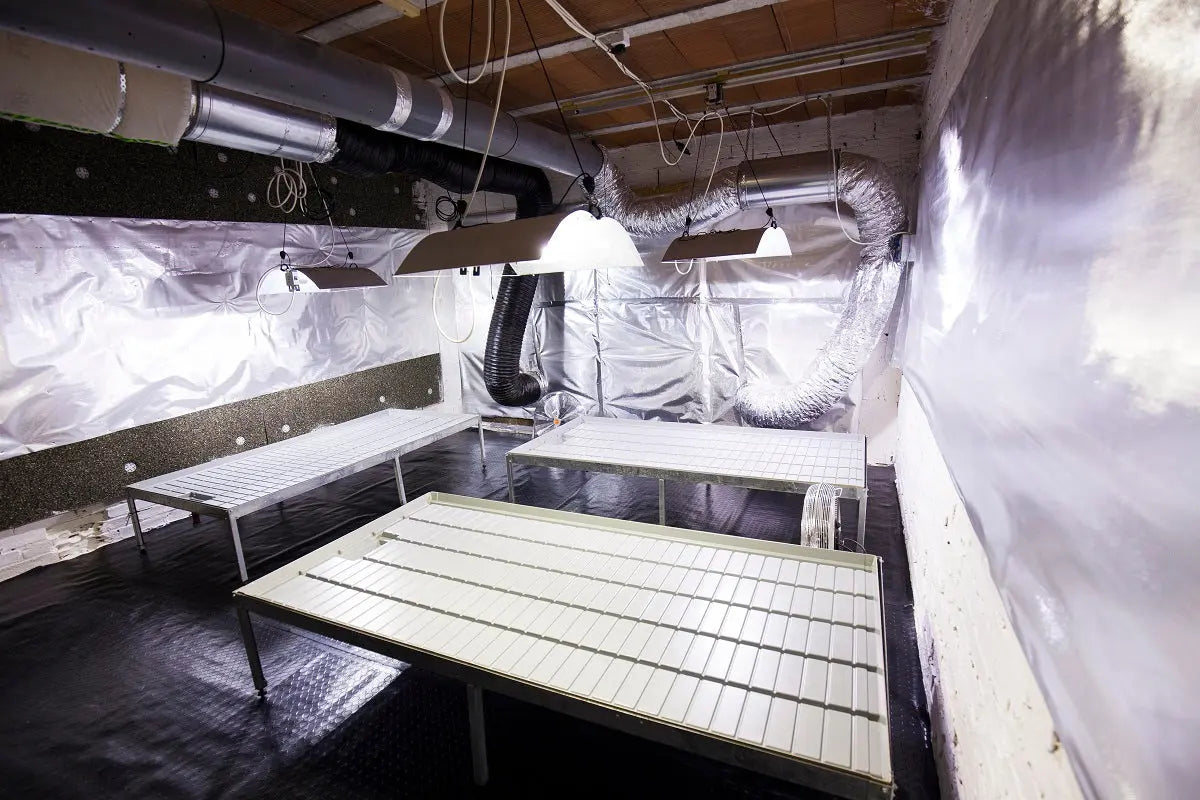 Run-to-Waste Grow Systems