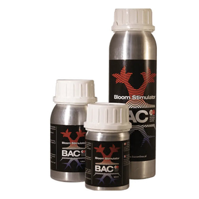 BAC - Blühestim