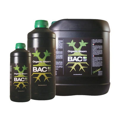 BAC - Organische Blüte