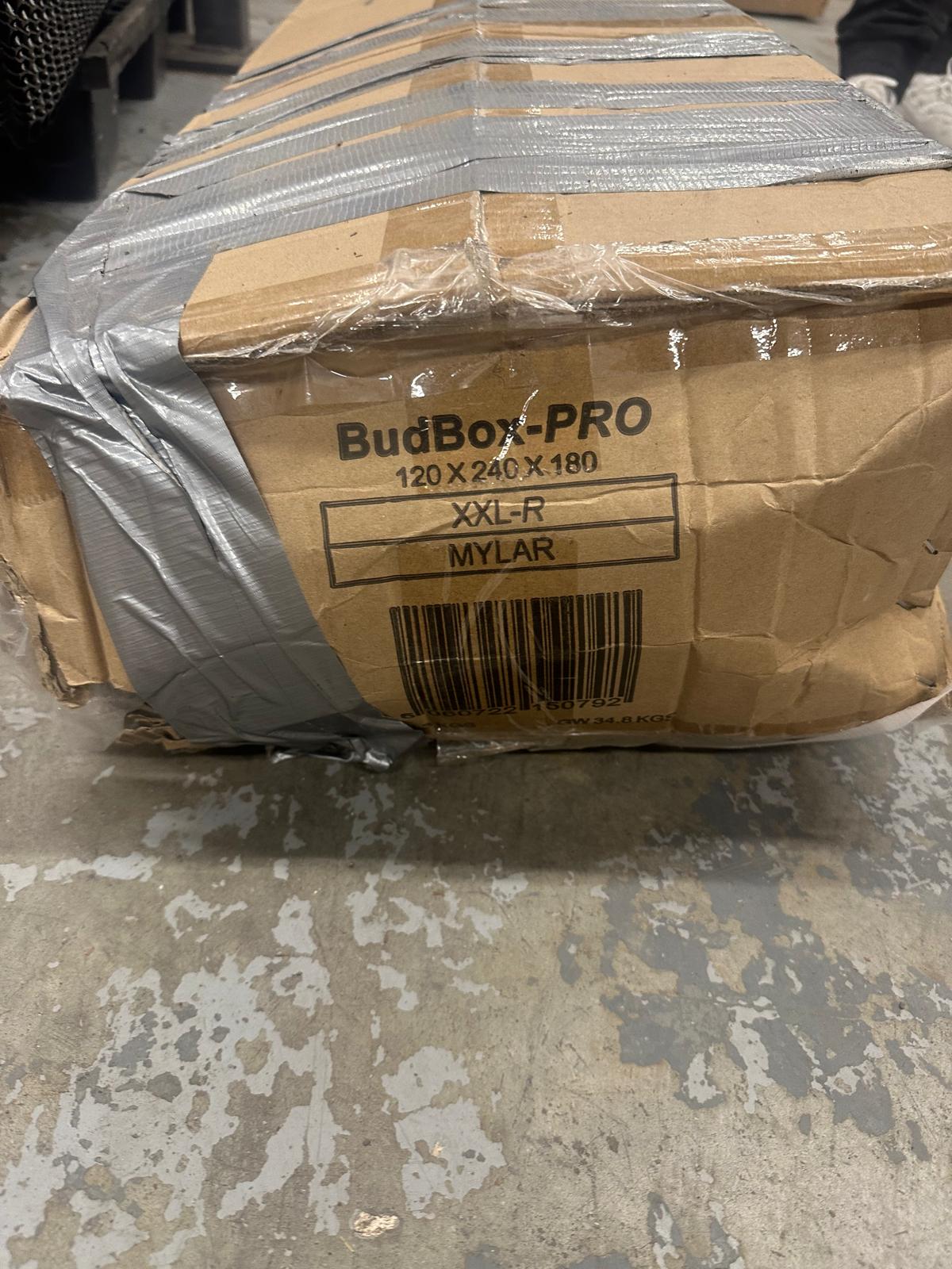 DAÑO DE CAJA - Caja Bud 300 X 150 X 200