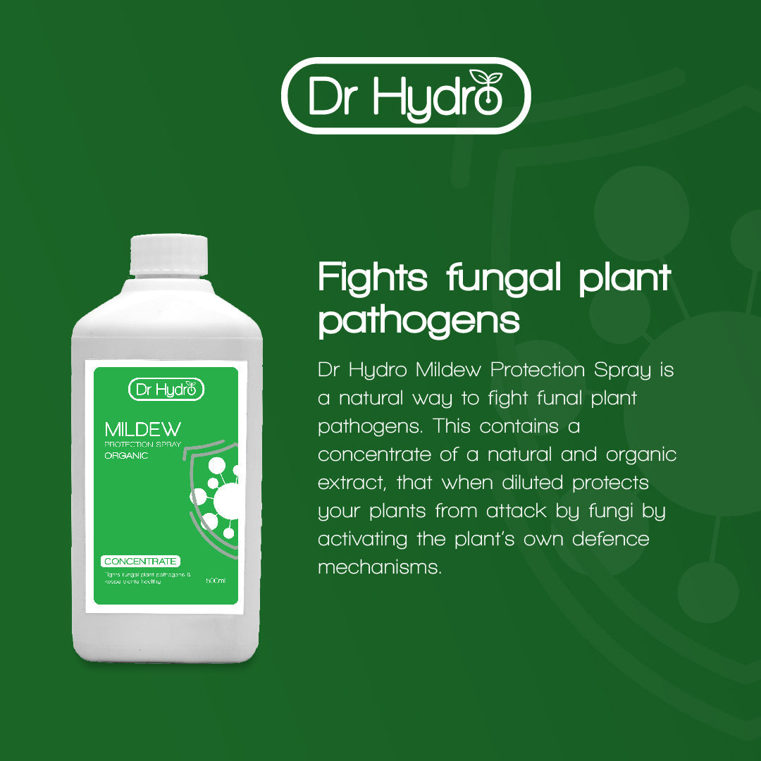Dr Hydro - Mildew