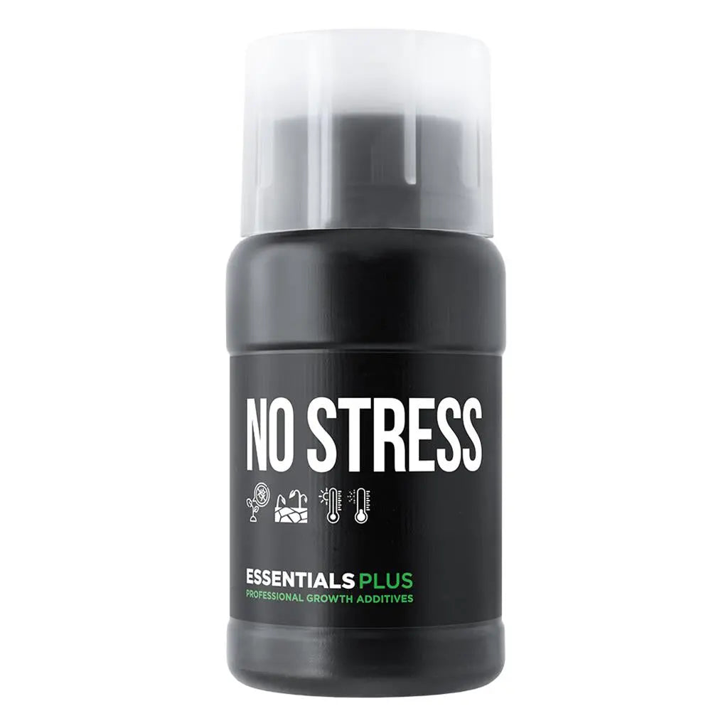 Essentials PLUS KEIN Stress