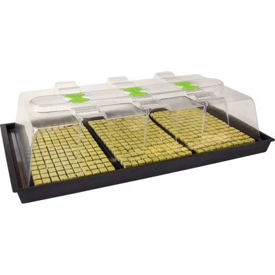X-Stream Heated Propagator – Adjustable Thermostat Propagation System