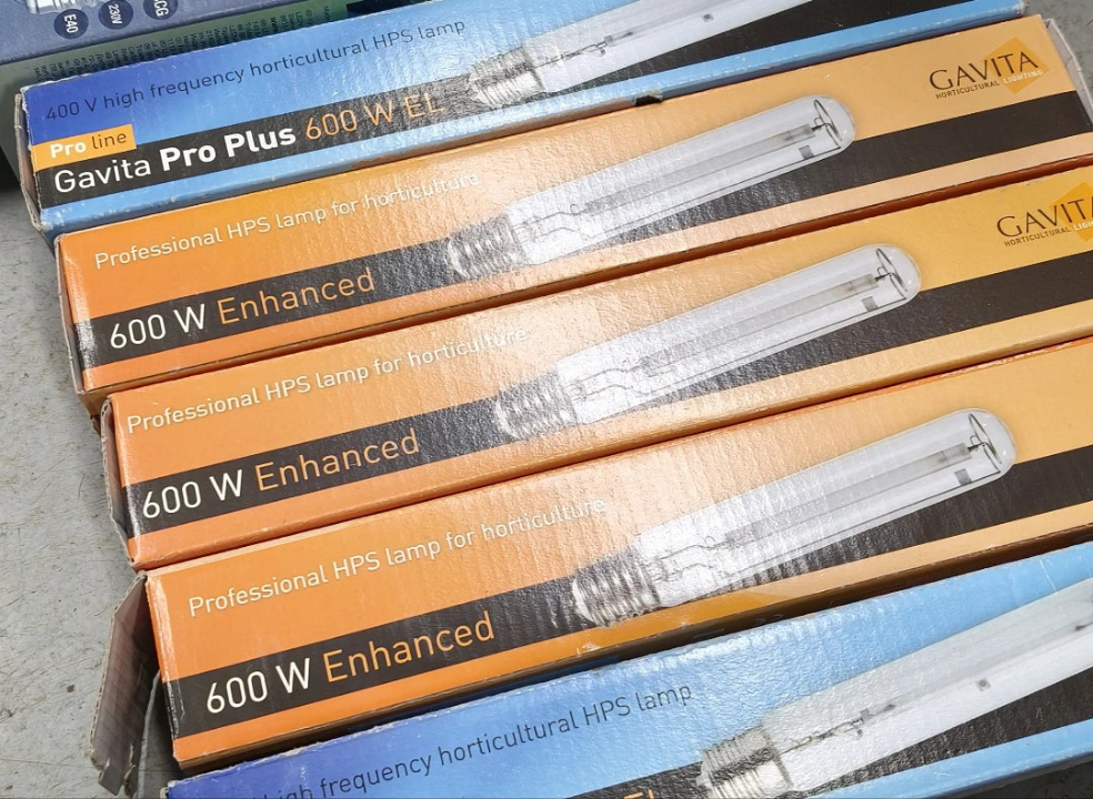 Gavita - Bombilla HPS mejorada 600W 230V