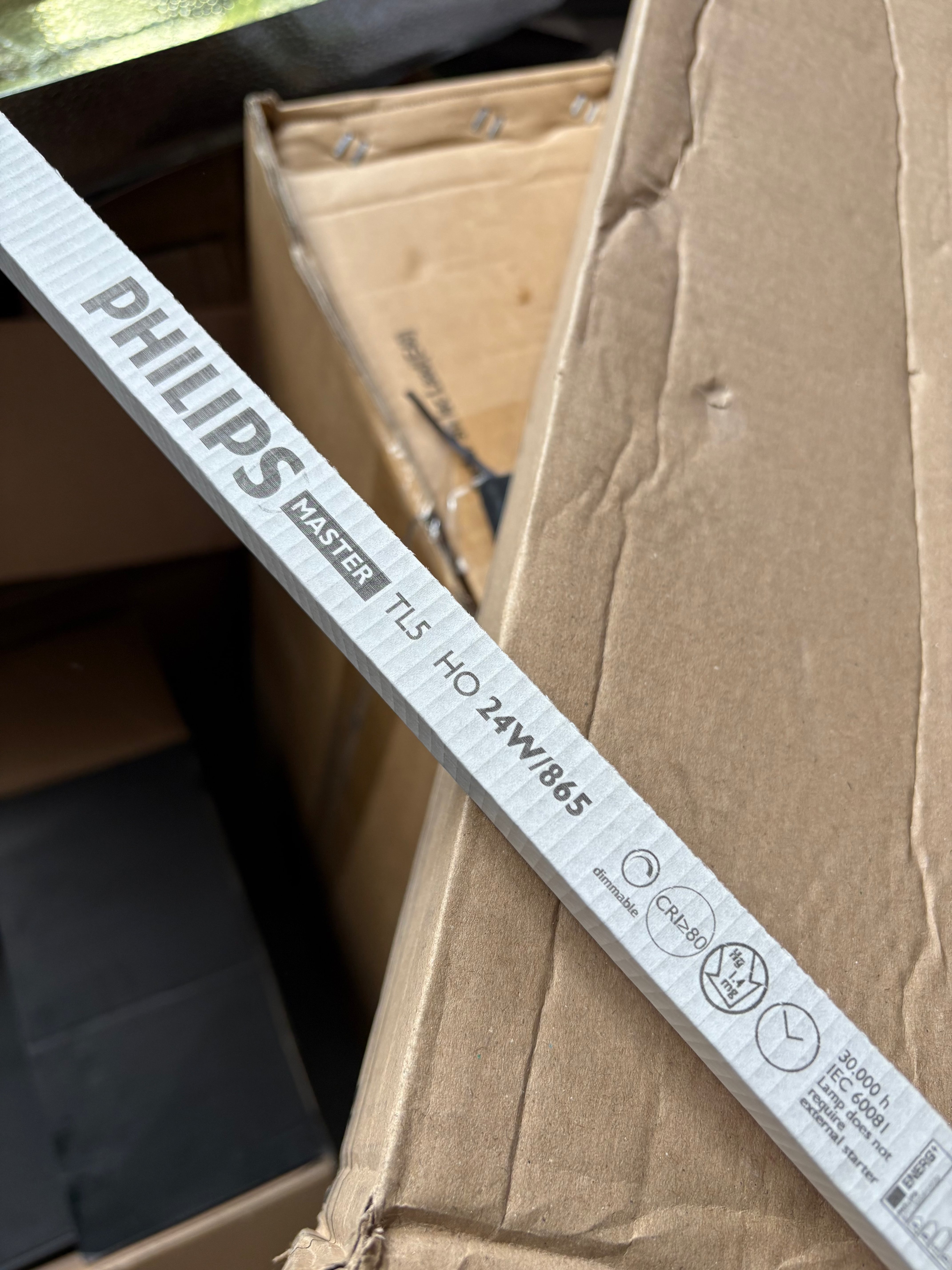 Lámpara de repuesto T5 individual - 2 pies, 24 W, 6500 K