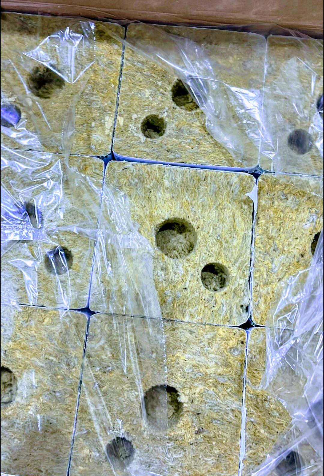 Grodan - Bloque/cubo Hugo de 6" (con nuevo orificio de goteo)