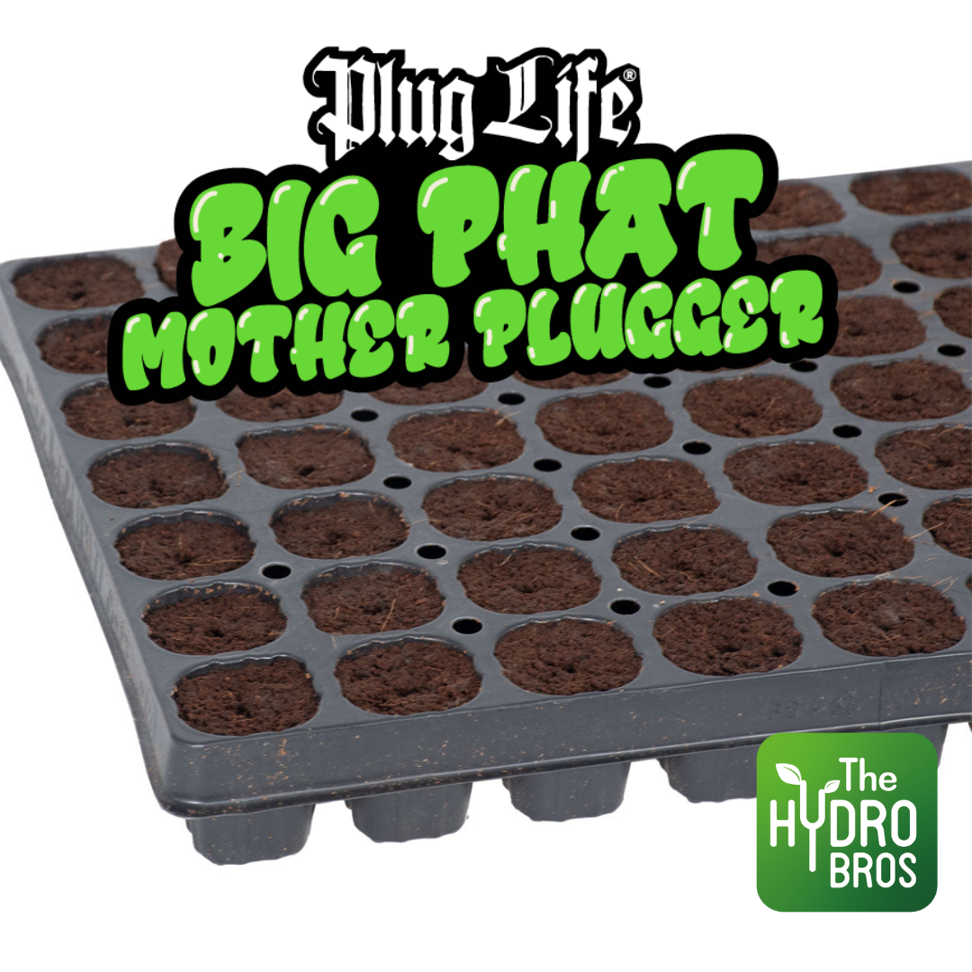 Plug Life Big Phat Mother Plugger 77 Bandeja