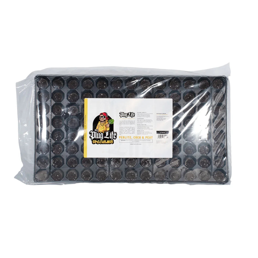 Plug Life Special Mix 104