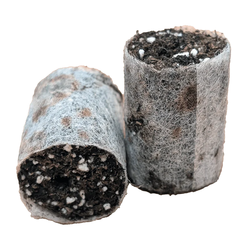 Plug Life Special Mix 104