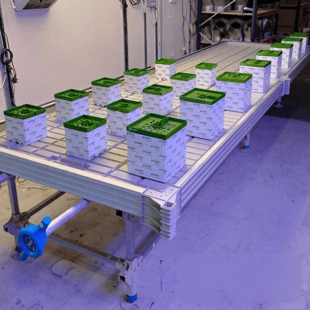 Wachsen 4ft Rolling Benches with Trays