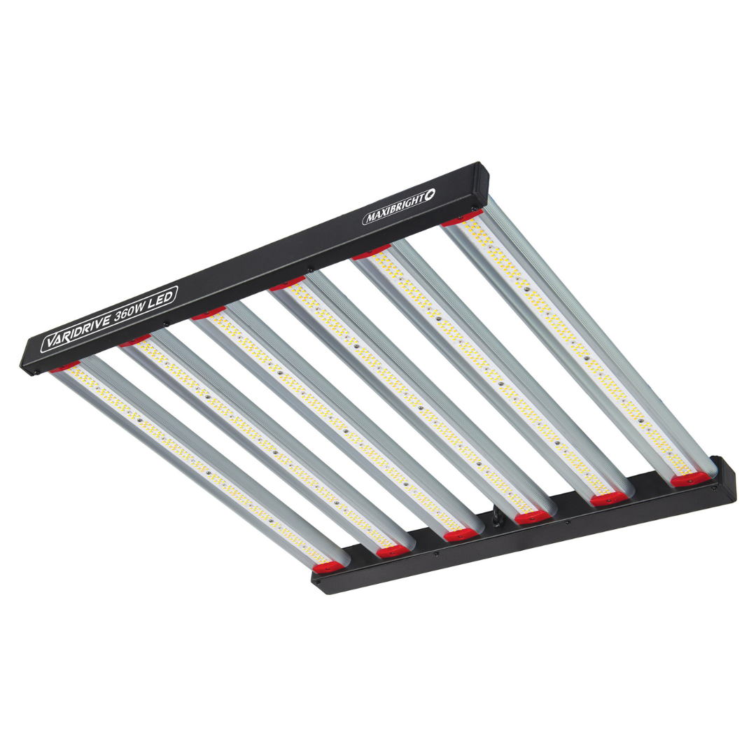 Lámpara LED de cultivo Maxibright Varidrive de 360 W: tamaño pequeño, gran rendimiento