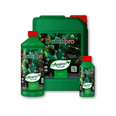 Dutch Pro - Amino Strength