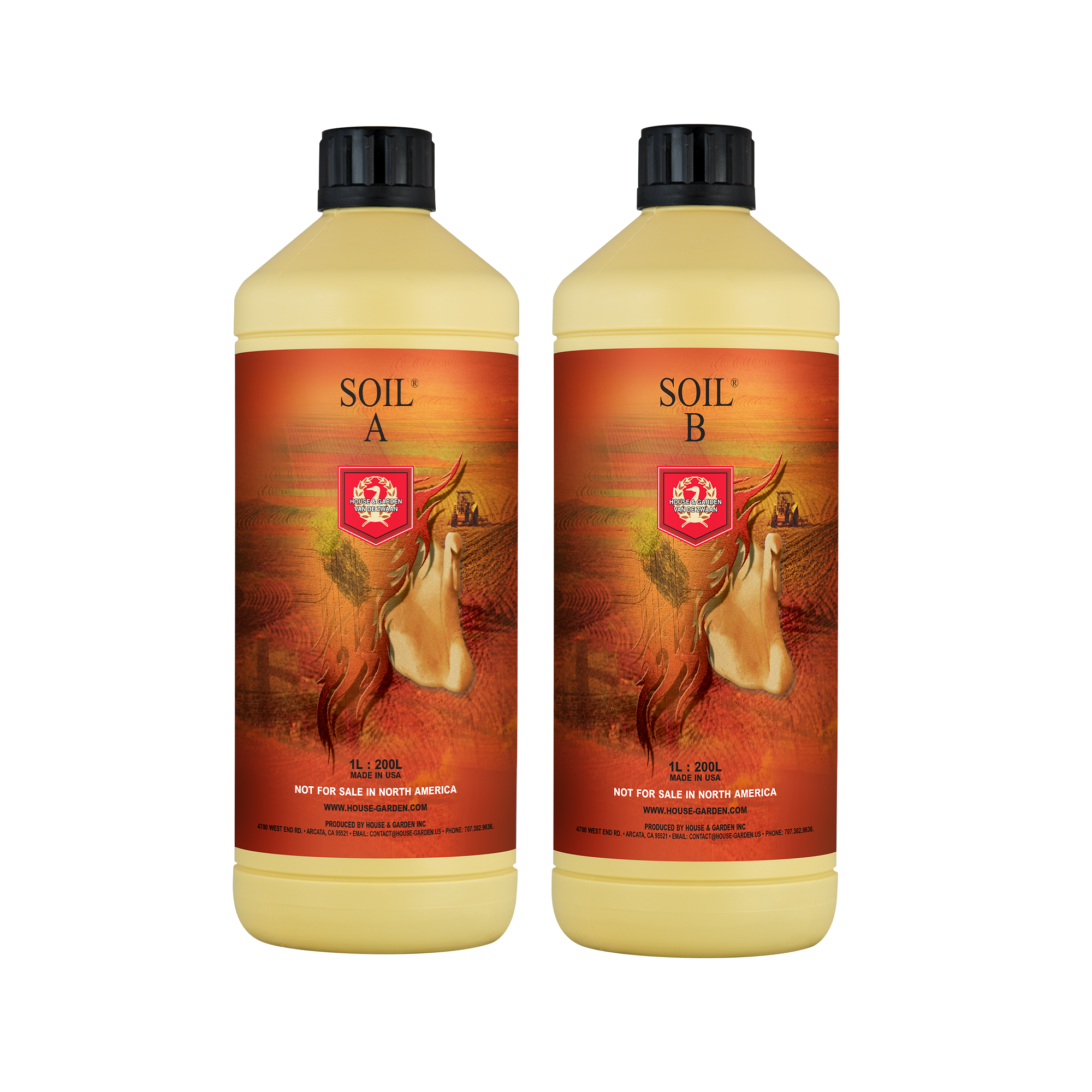 Casa y Jardín - Suelo A y B