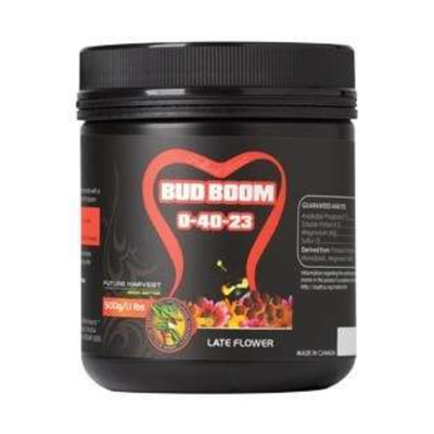 Futura cosecha de brotes