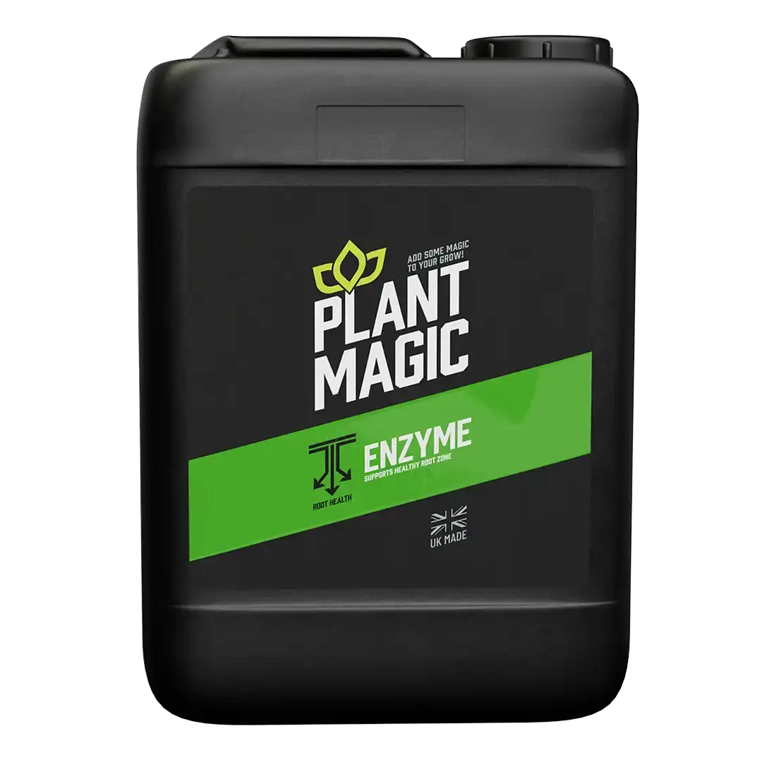 Plant Magic Enzyme