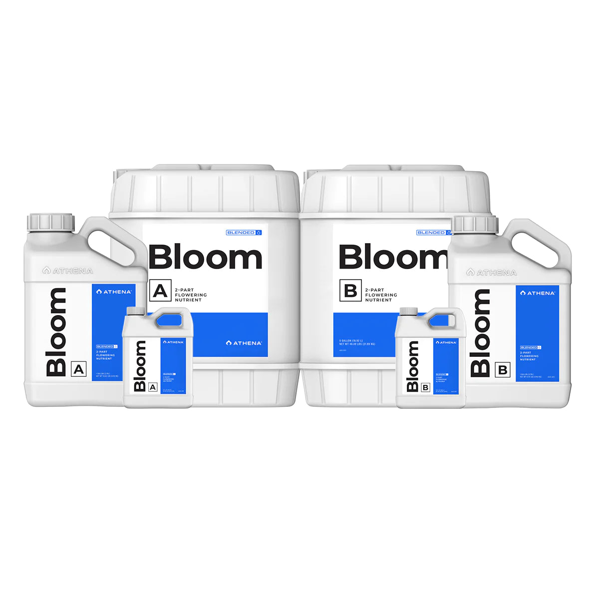 Athena Blended Bloom AB