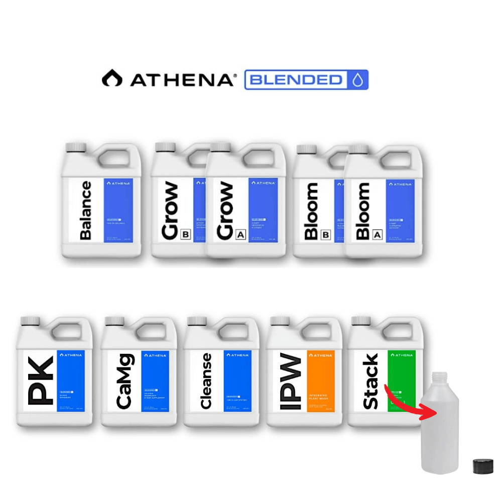 Kit de inicio Athena Blended - Mini completo