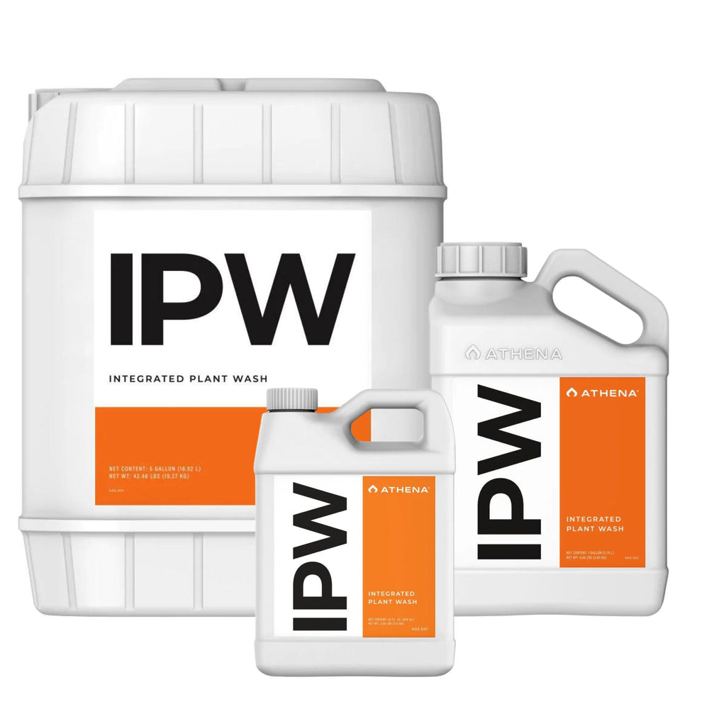 Athena IPW