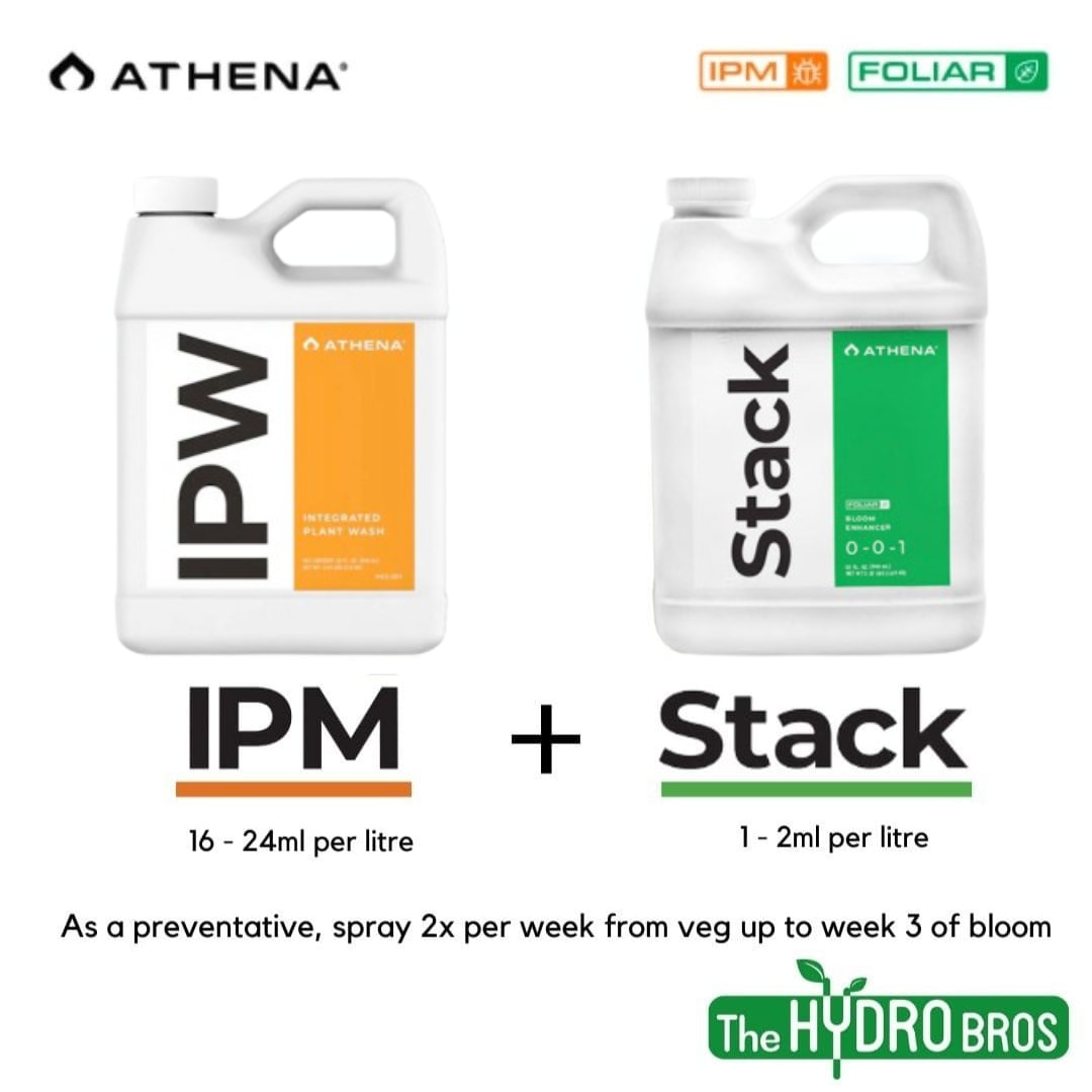 Athena Stack + IPW