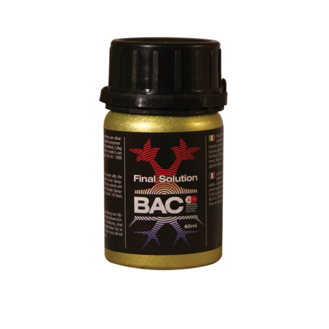 BAC - Final Solution