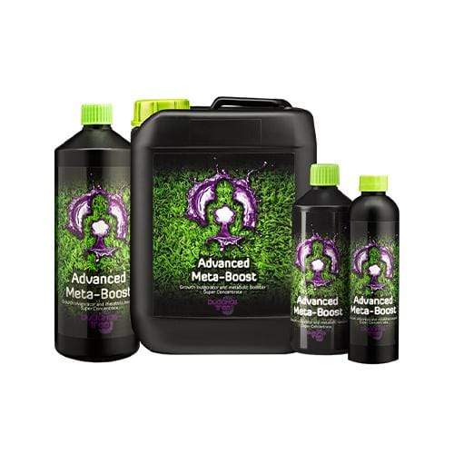 Meta Boost del Árbol de Buda