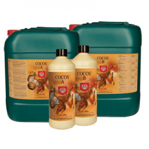 Casa y Jardín - Coco AB