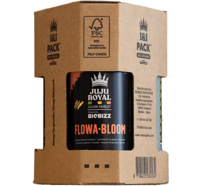 Juju Royal - Paquete de inicio I & I