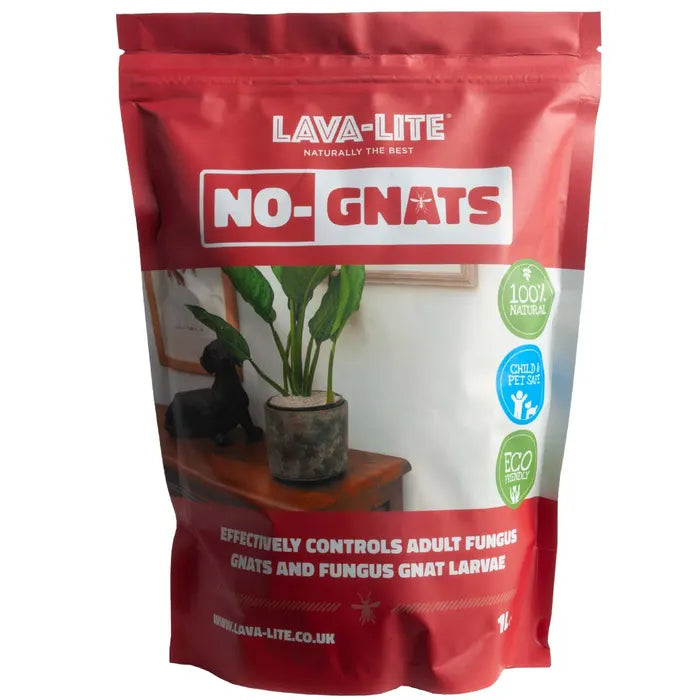 Lava-Lite No Gnats