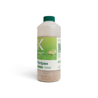 Amblyseius Cucumeris - Loose Predators 1Ltr Tube pour Thrips