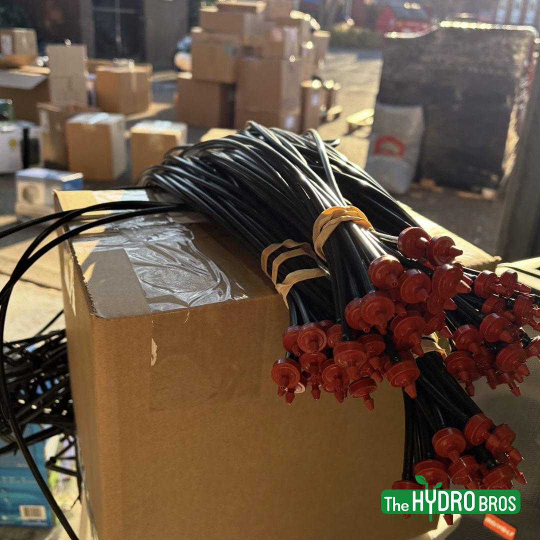 Netafim PCJ-LCNL 2LPH Dripper Set - 80cm