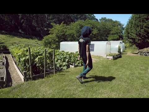 Juju Royal - Místico Verde