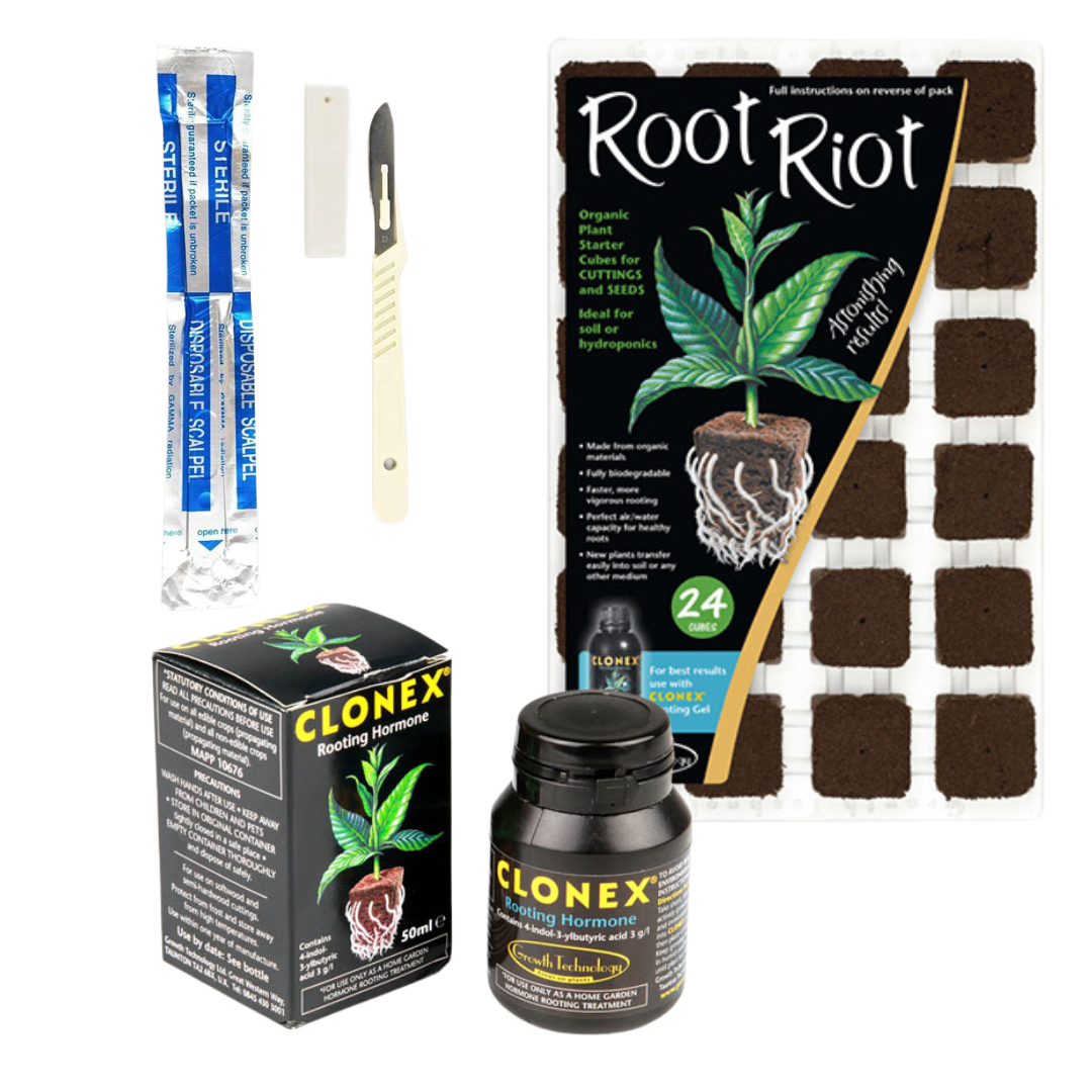 Kit de clonación de propagación