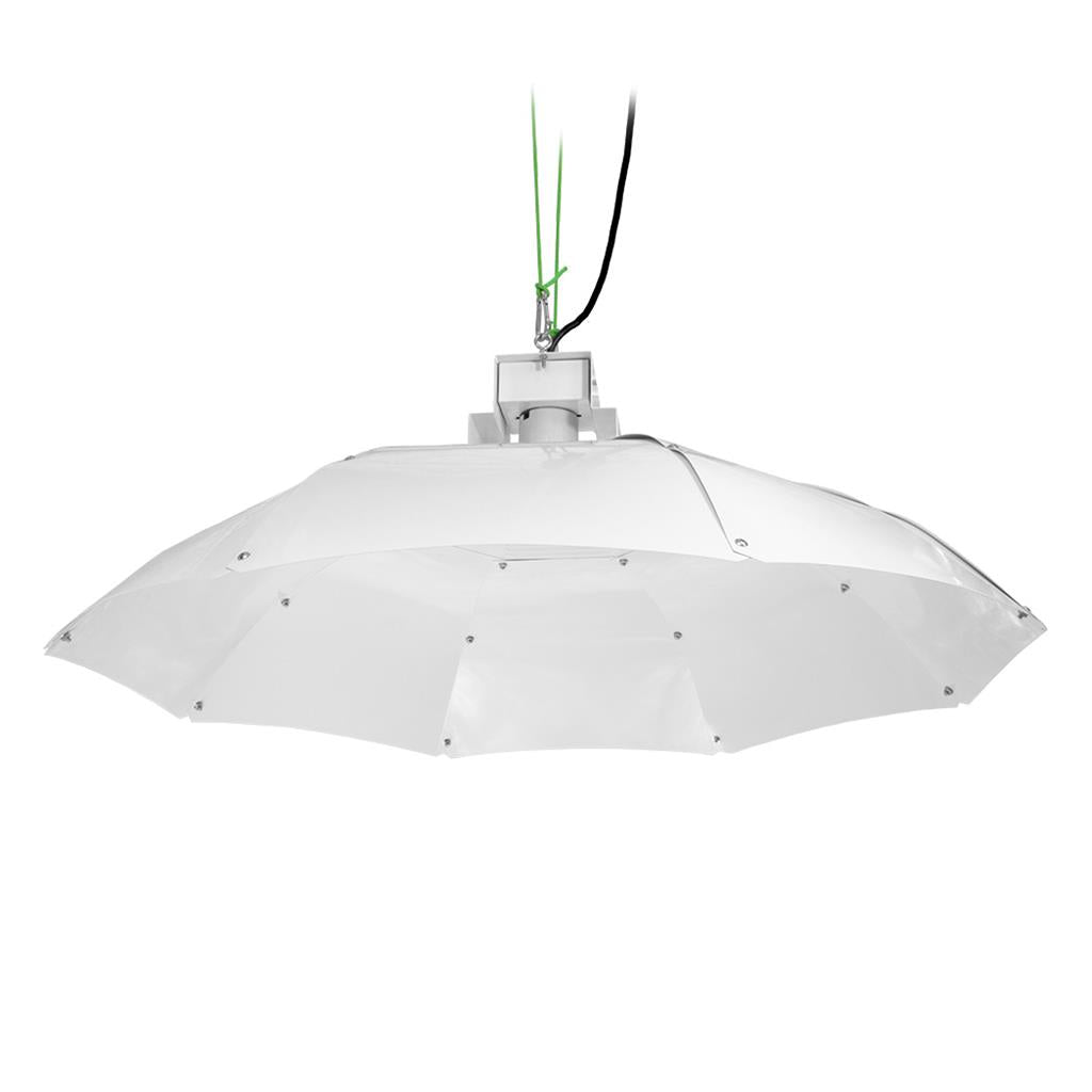 Sunking - Reflector parabólico (mediano)