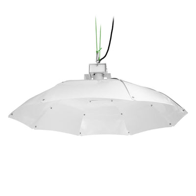 Sunking - Parabolic Reflector (Medium)