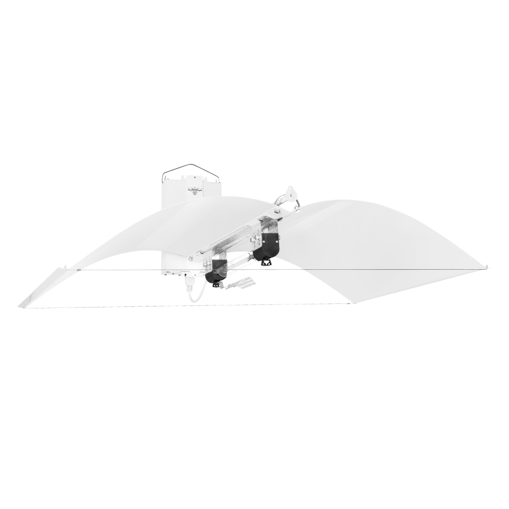 1000w DE-HPS Hellion Lighting System