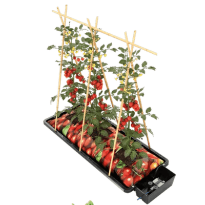 AutoPot Tray2Grow Automated Watering System
