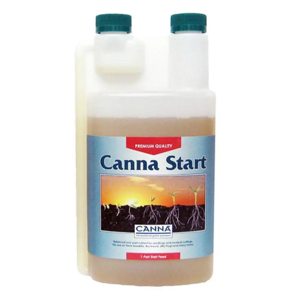 Canna – Start