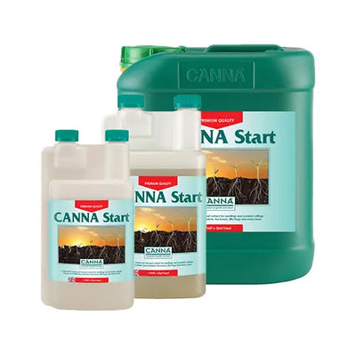 Canna – Start