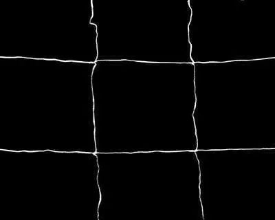 Trellis Netting